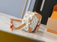 Women Lv  Duceauville Mini Handbag Daily Stuff